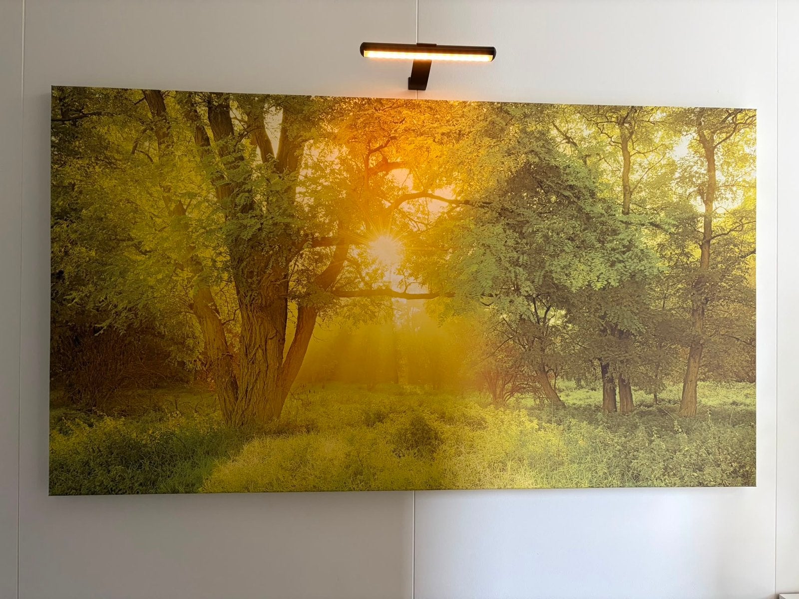Groot Canvas Schilderij: Zonsopgang in het Bos, Huis en Inrichting, Woonaccessoires | Schilderijen, Tekeningen en Foto's, Ophalen