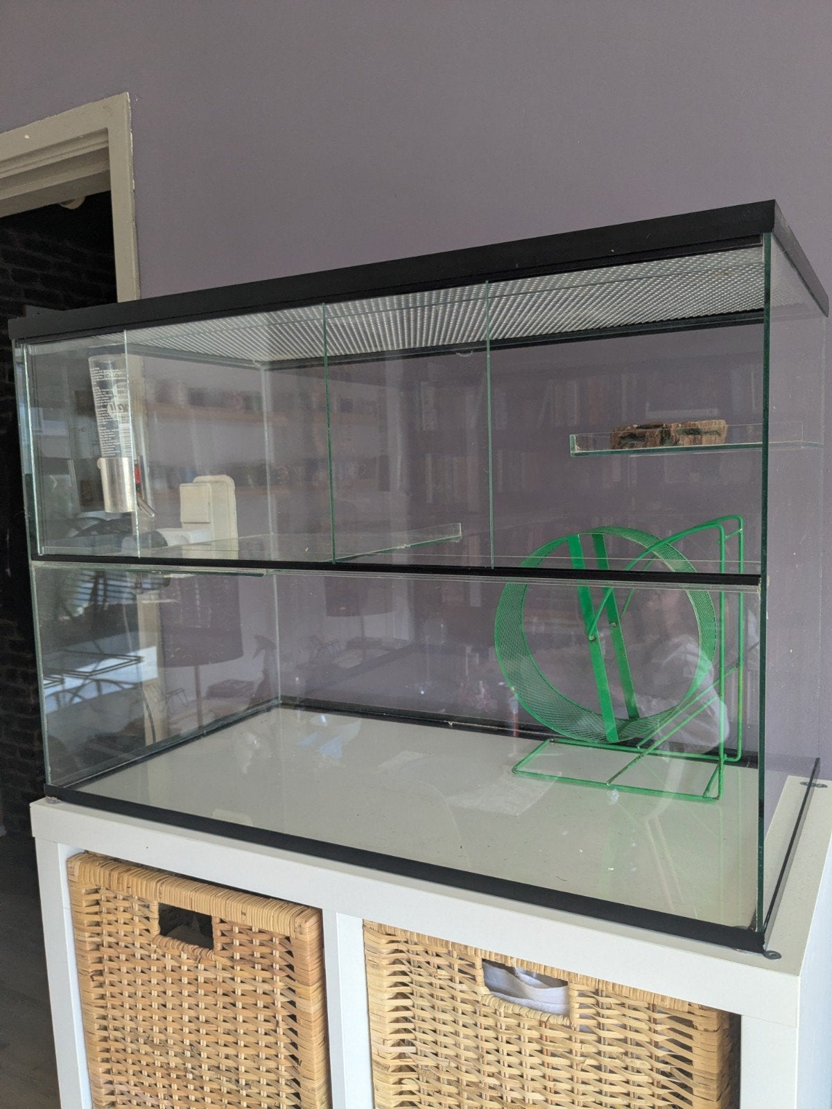 Glass Cage for Small Rodents 70x40x50, Kooi, Minder dan 75 cm, Zo goed als nieuw, Muis