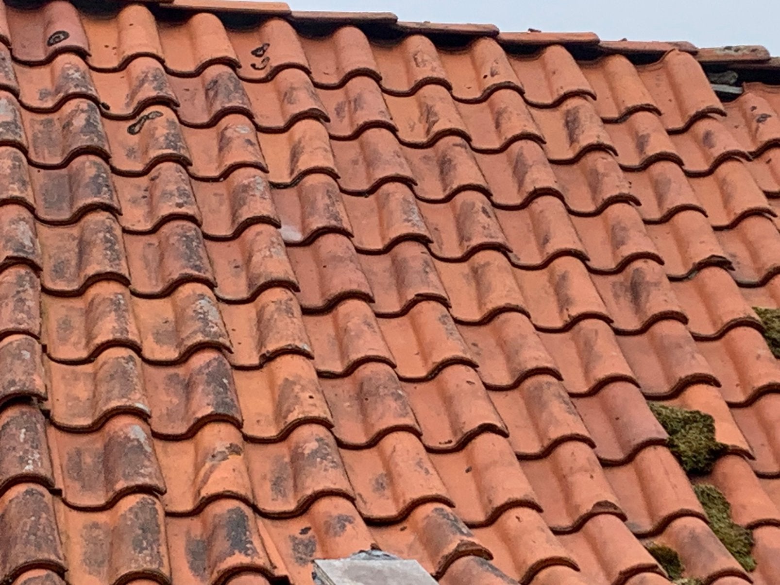 Oude holandse dakpannen  ruim 850 stuks, Ophalen, Gebruikt, Steen of Klei, 15 m² of meer