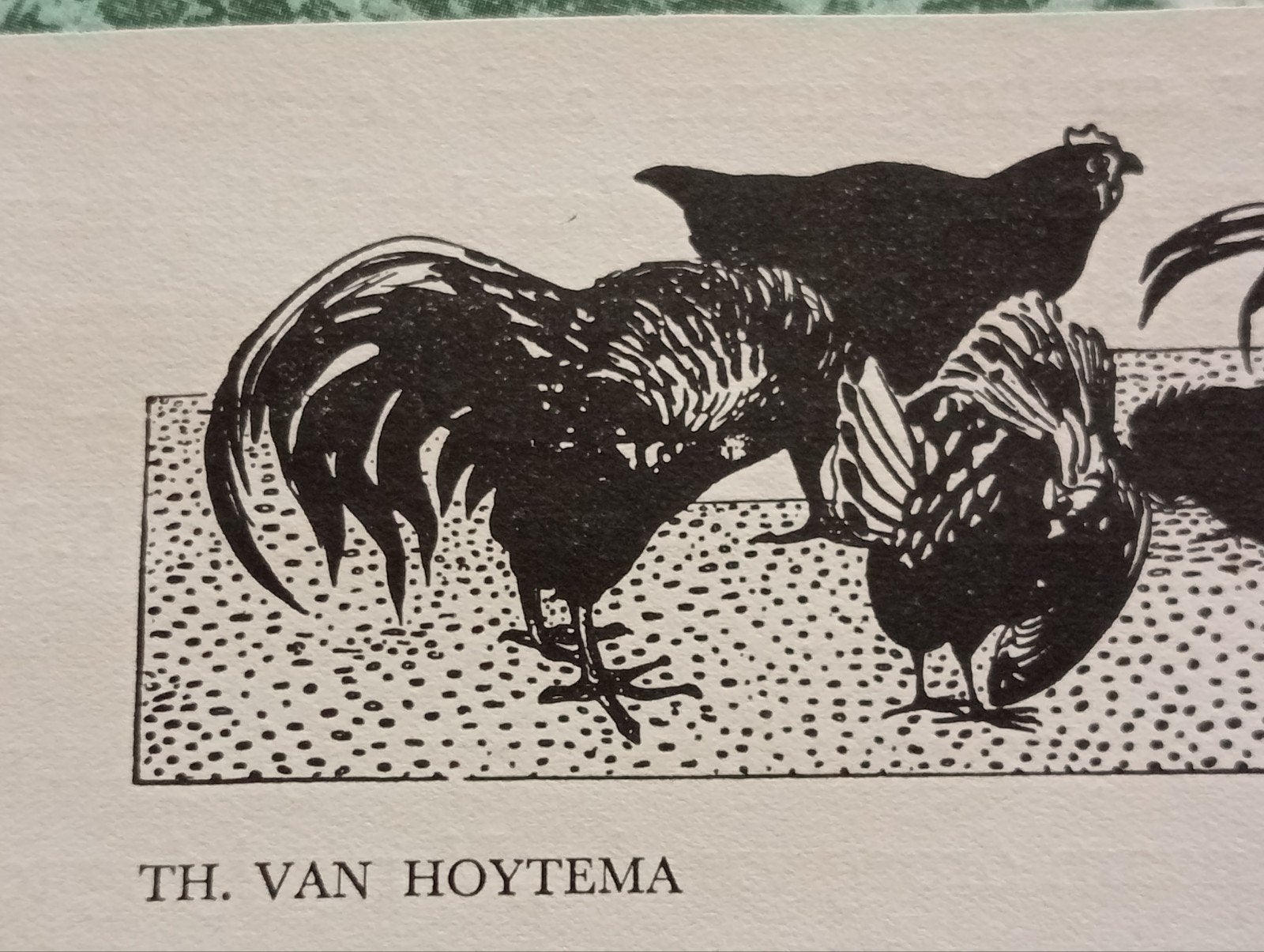 Theo van Hoytema Hanen en Kippen, Ophalen of Verzenden
