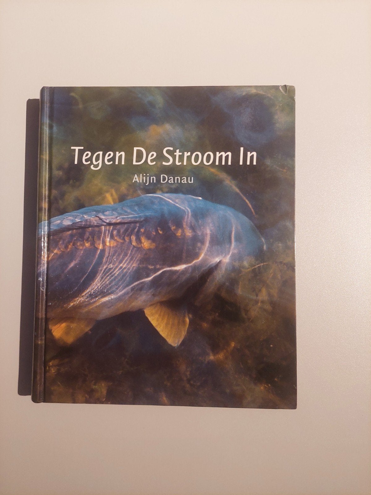 Tegen De Stroom In - Alijn Danau, Watersport en Boten, Ophalen of Verzenden, Overige typen