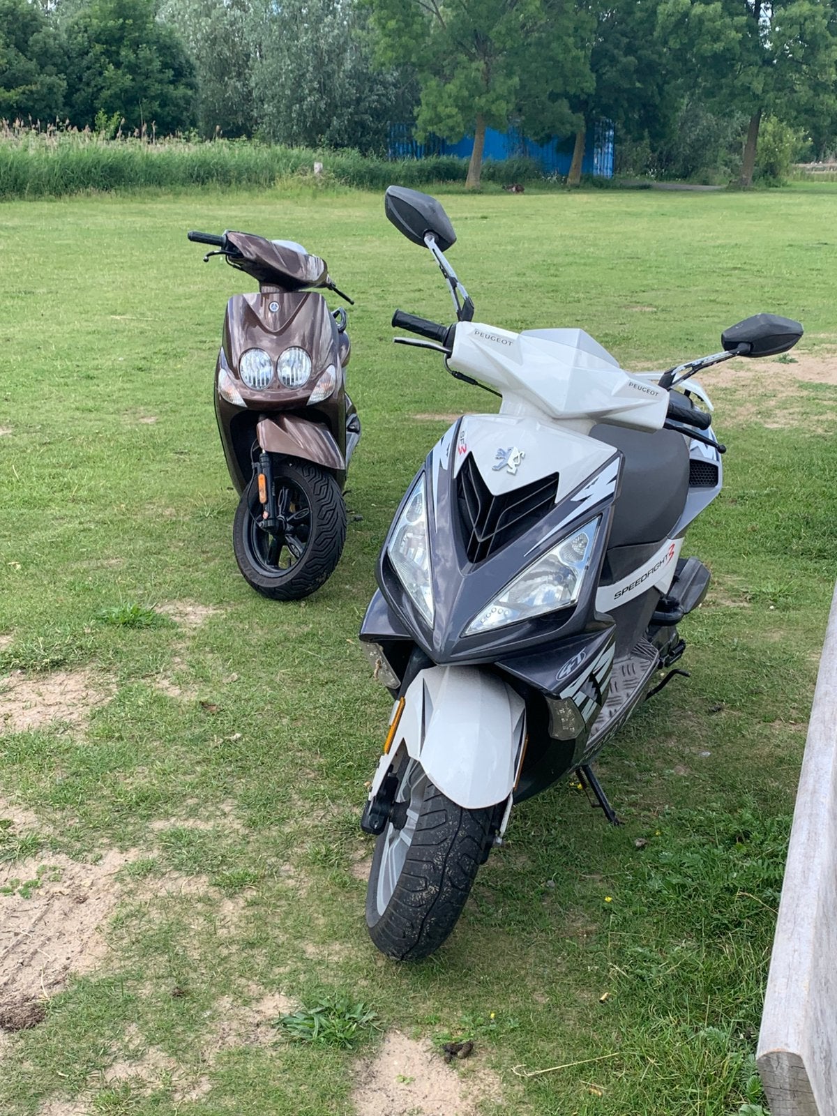 Peogeot Speedflight 3 4t 50cc, Fietsen en Brommers, Brommers | Peugeot, Overige modellen, Ophalen of Verzenden, Zo goed als nieuw