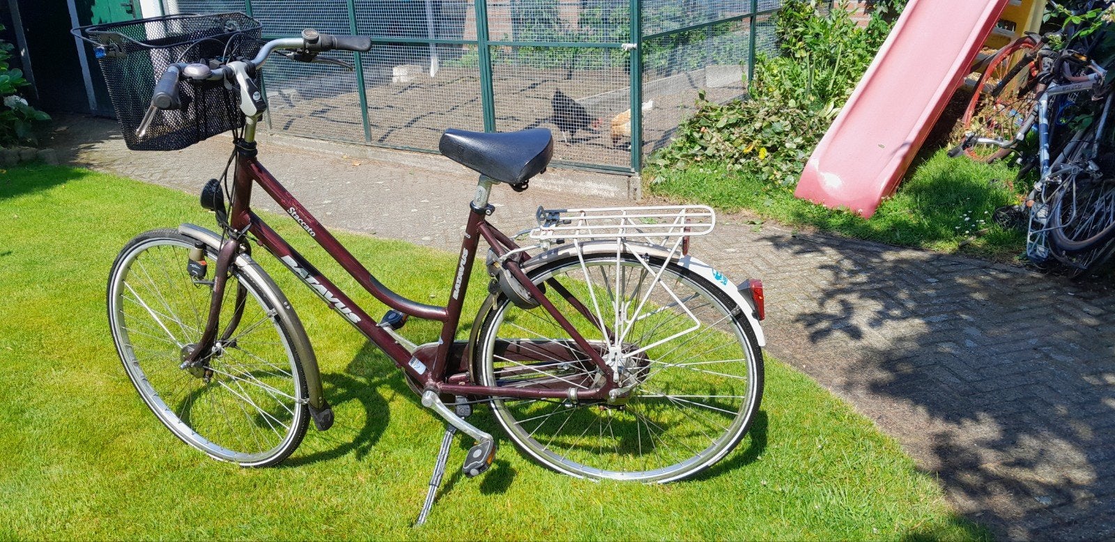 Damesfiets, stadsfiets, studentenfiets Batavus Staccato, Ophalen, Gebruikt