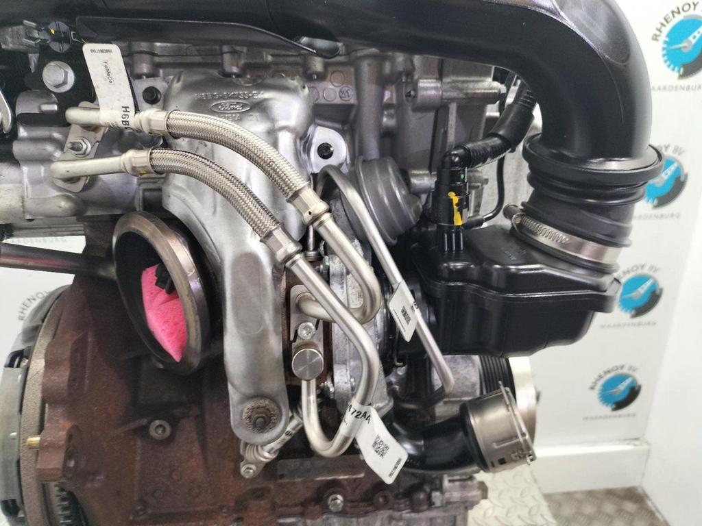 FORD FIESTA TURBO 2021, Auto-onderdelen, Ophalen of Verzenden, Gebruikt, ARN erkend