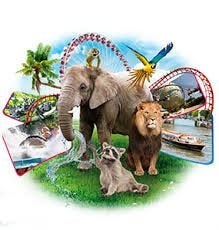 4 tickets voor uitje naar museum, welness, dierentuin, etc., Drie personen of meer, Meerdaags