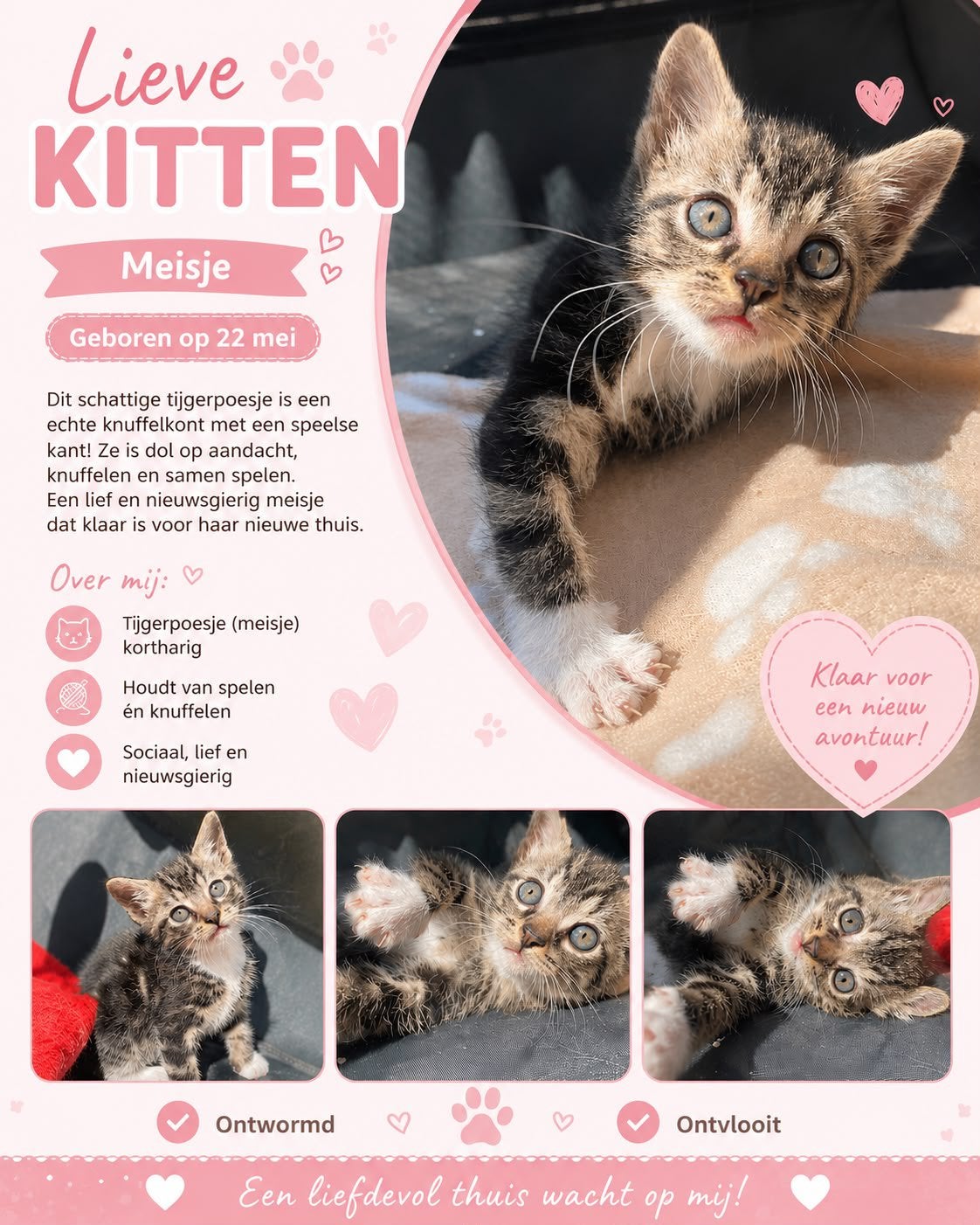 Jonge boerderij kittens, Dieren en Toebehoren, Katten en Kittens | Overige Katten, Poes