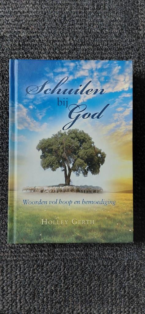 Holley Gerth - Schuilen bij God, Ophalen of Verzenden, Zo goed als nieuw, Holley Gerth