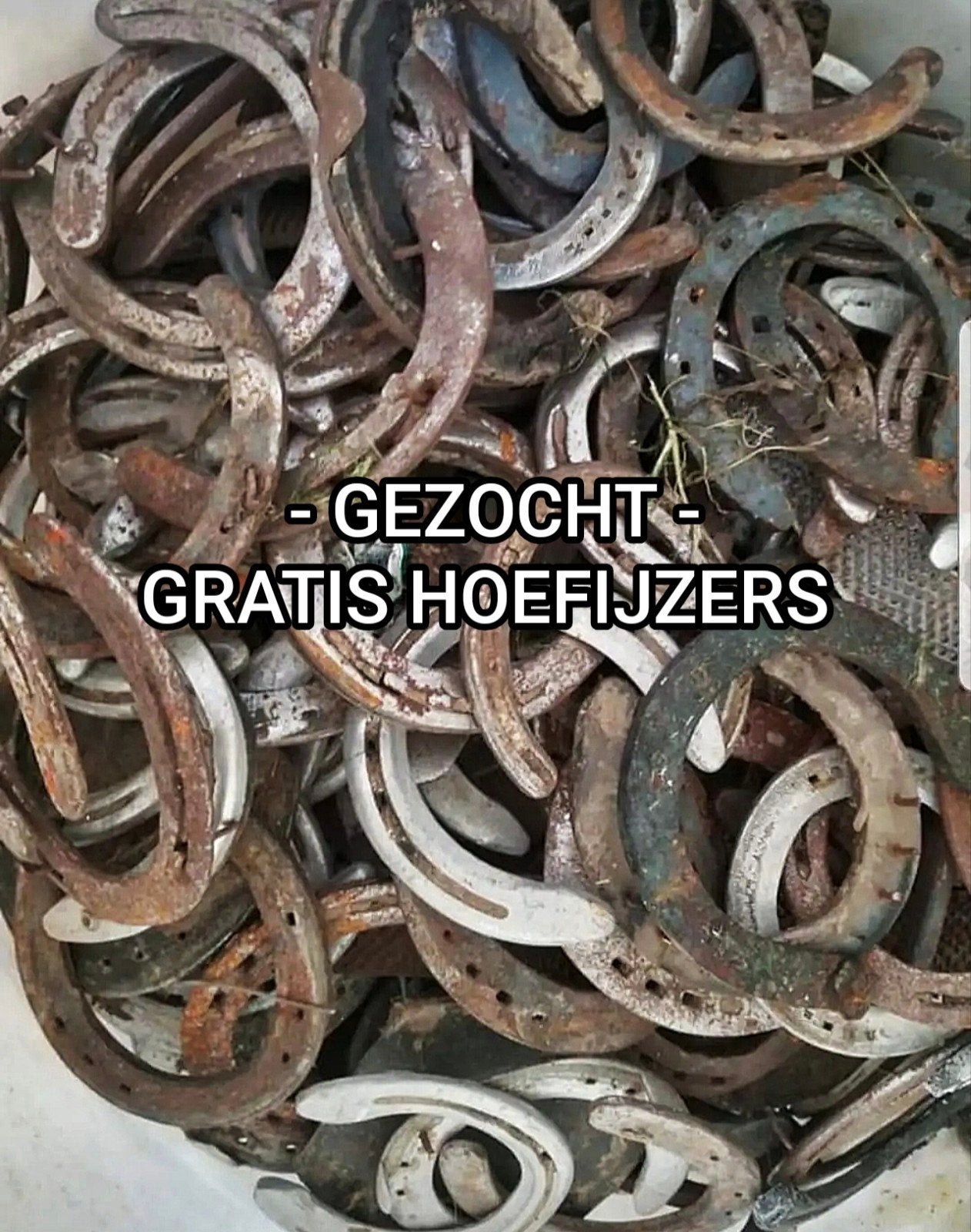 GEZOCHT GRATIS HOEFIJZERS, Dieren en Toebehoren, Ophalen of Verzenden