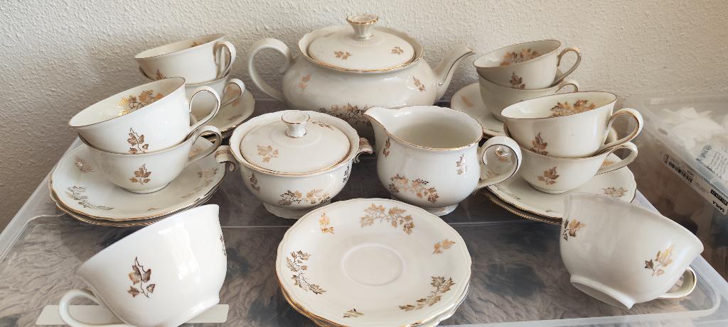 Porseleinen servies, Ophalen of Verzenden