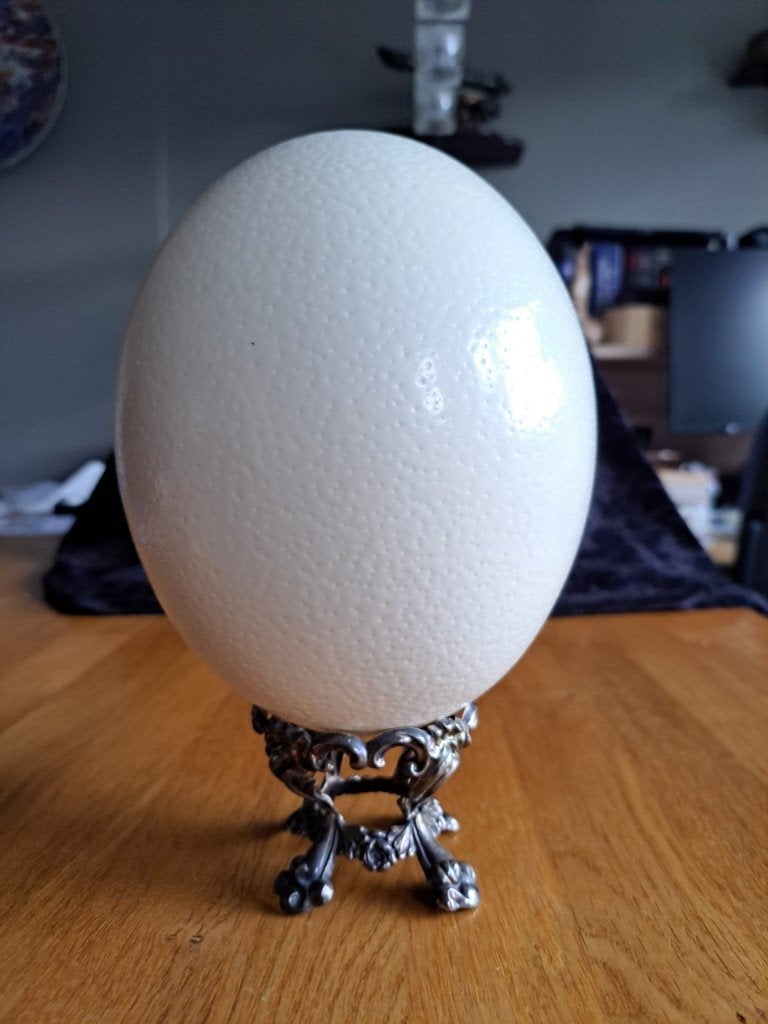 Groot struisvogelei op zilveren standaard, 23 cm., Antiek en Kunst, Ophalen of Verzenden