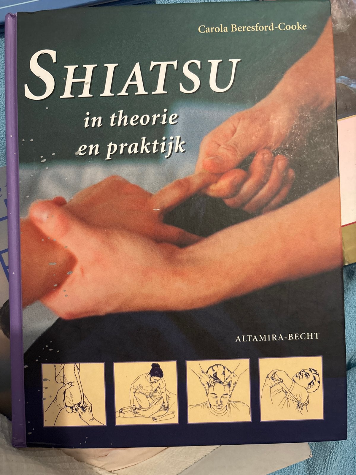 Shiatsu in theorie en praktijk - Carola Beresford-Cooke, Boeken, Verzenden, Gelezen, Kruiden en Alternatief
