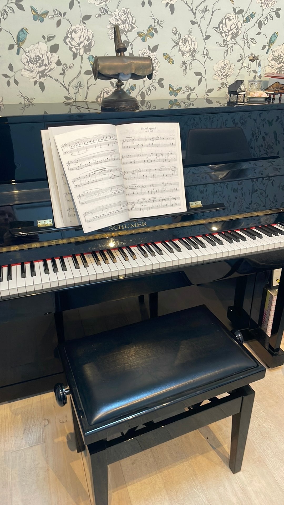 Pianoles in Almelo, Privéles, Toetsinstrumenten