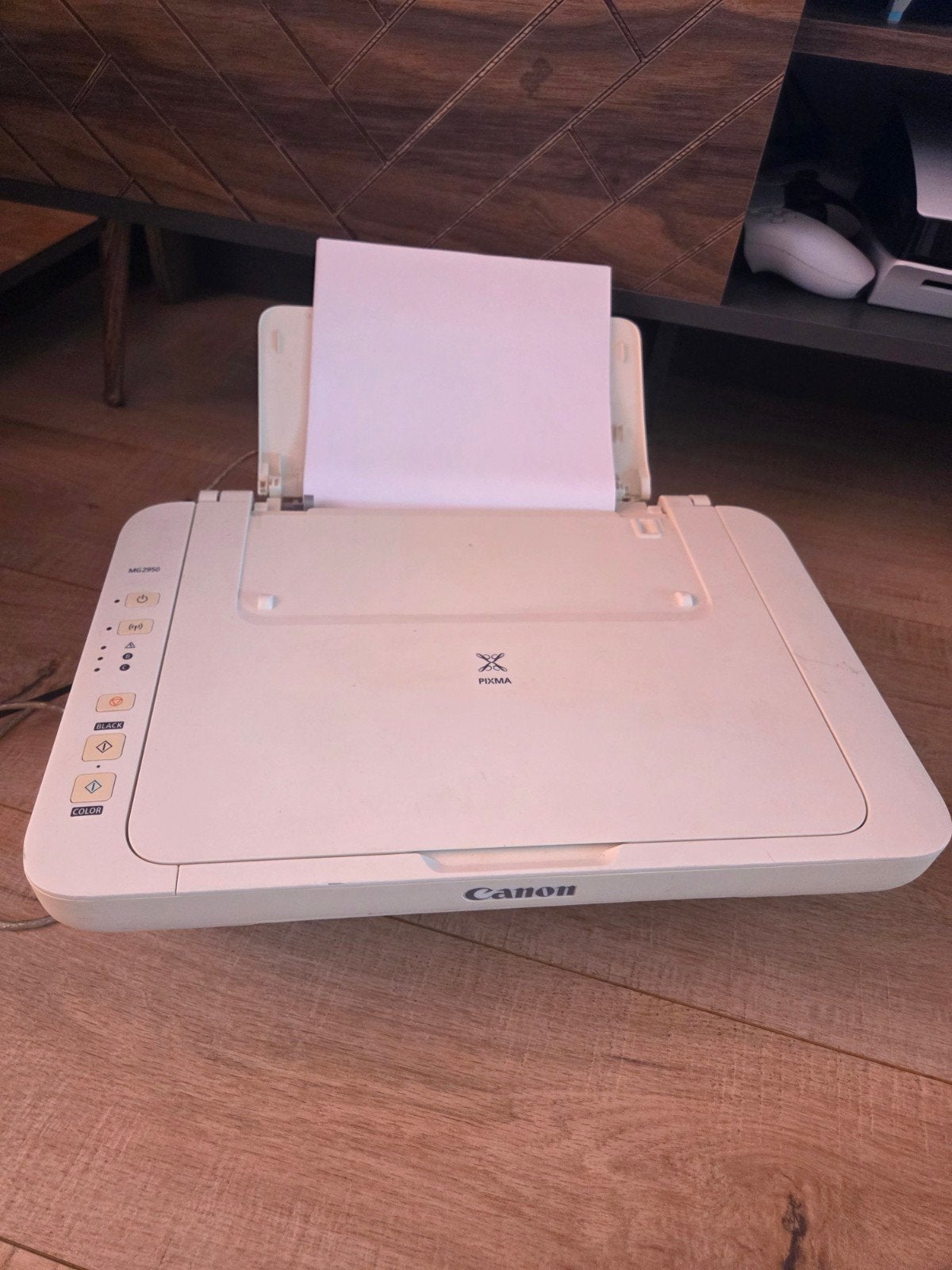 Printer Pixma Canon MG2950, Computers en Software, Printers, Kleur printen, Gebruikt, Canon, Printer