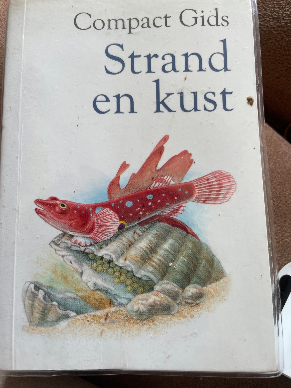 Compact Gids Strand en Kust - Natuurgids, Boeken, Natuur, Ophalen, Gelezen, Natuur algemeen
