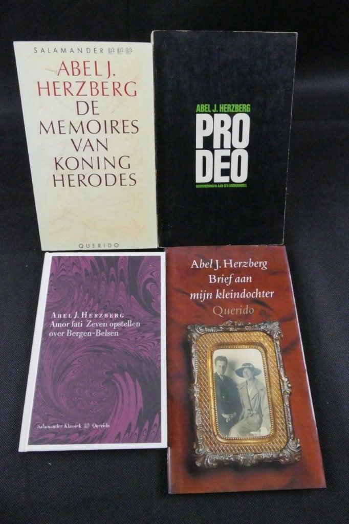 Boeken van Herzberg, Ophalen of Verzenden, Zo goed als nieuw, Abel J. Herzberg