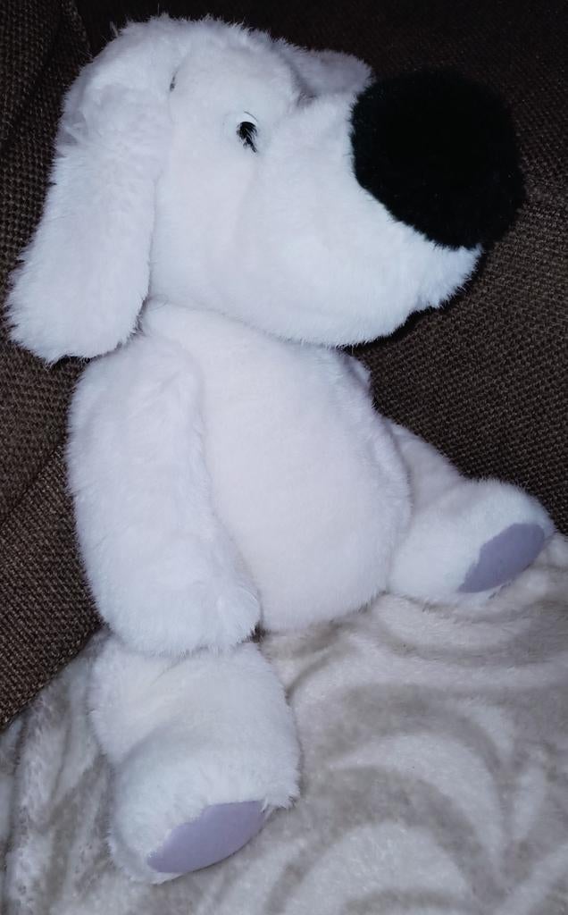 Witte hond met grijze voetzolen en oren, zwarte neus., Overige merken, Wasbaar, Zo goed als nieuw, Middelgroot (20 tot 80 cm)