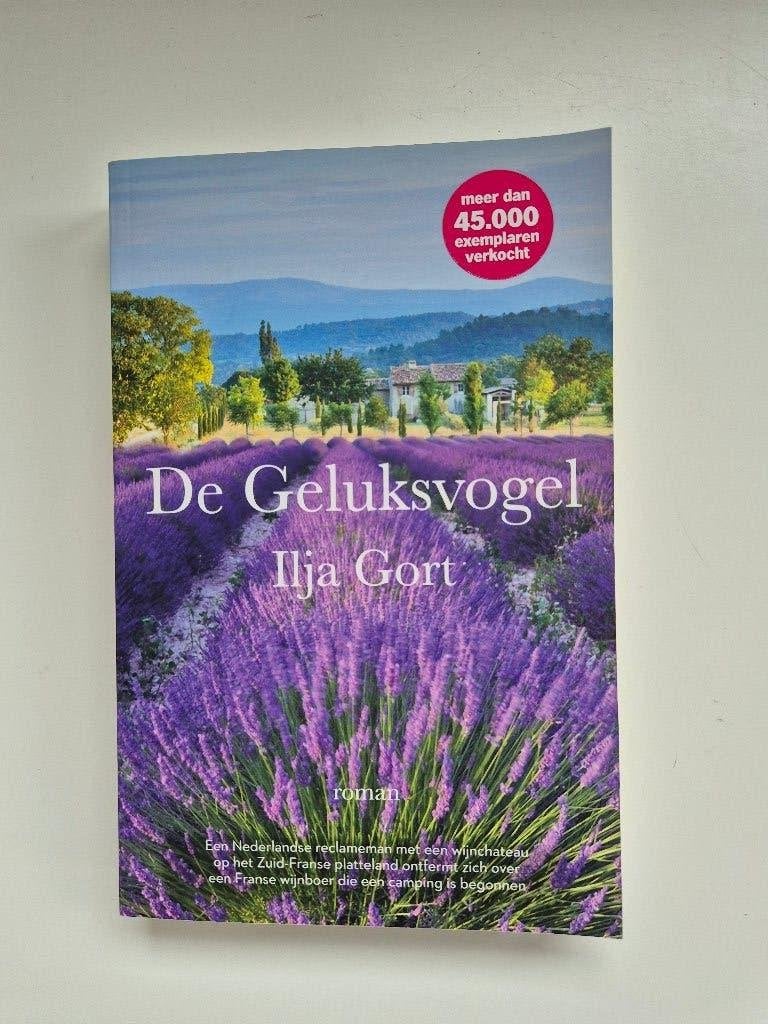 Boeken, Boeken, Verzenden, Zo goed als nieuw, Ilja Gort