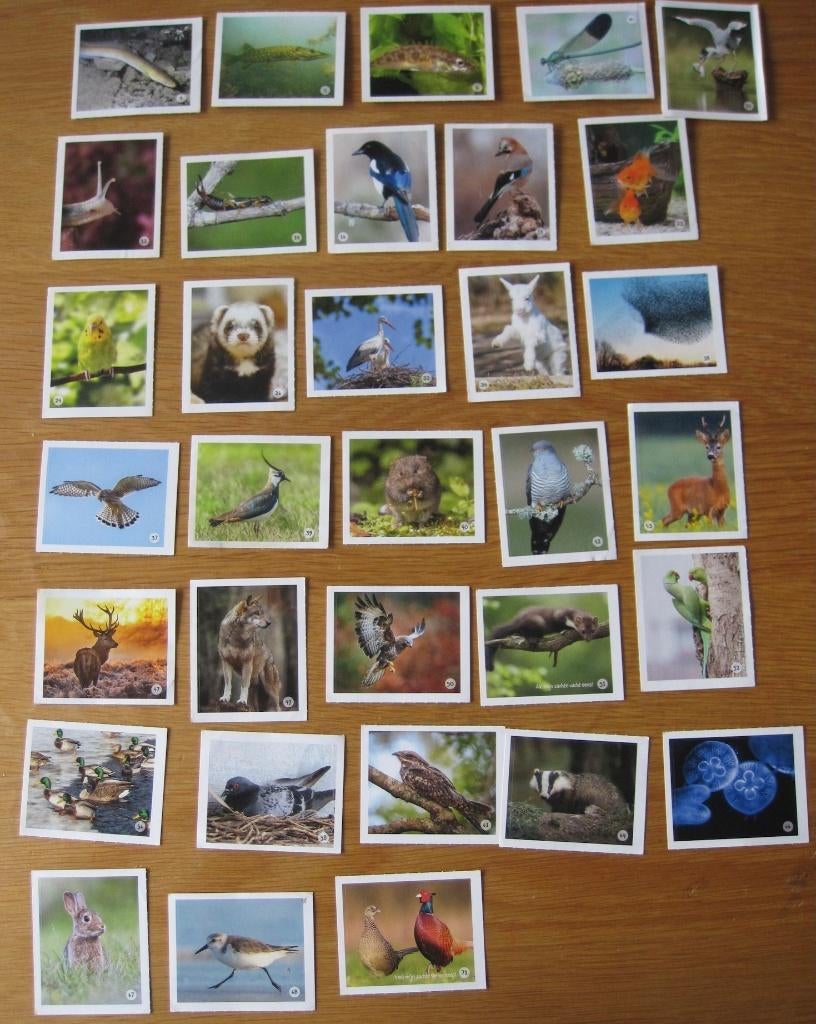 33 verschillende dieren stickers van Coop, Coop, Ophalen of Verzenden