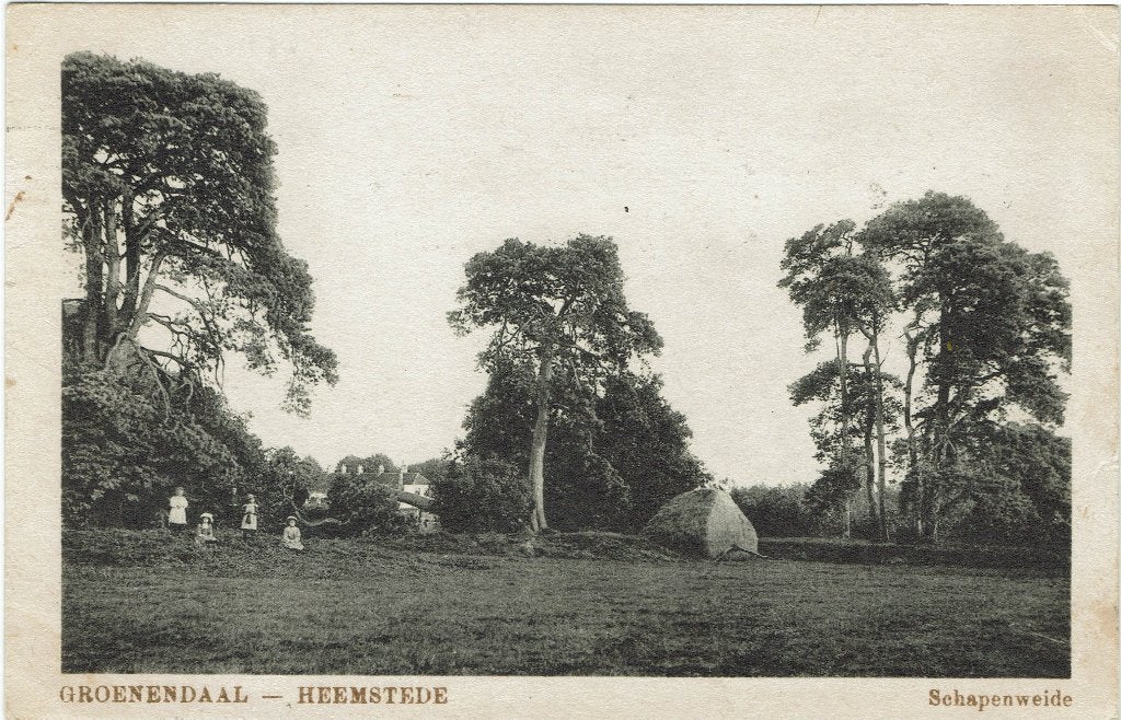 Heemstede – Schapenweide Groenendaal., Ophalen of Verzenden, Voor 1920, Gelopen, Noord-Holland