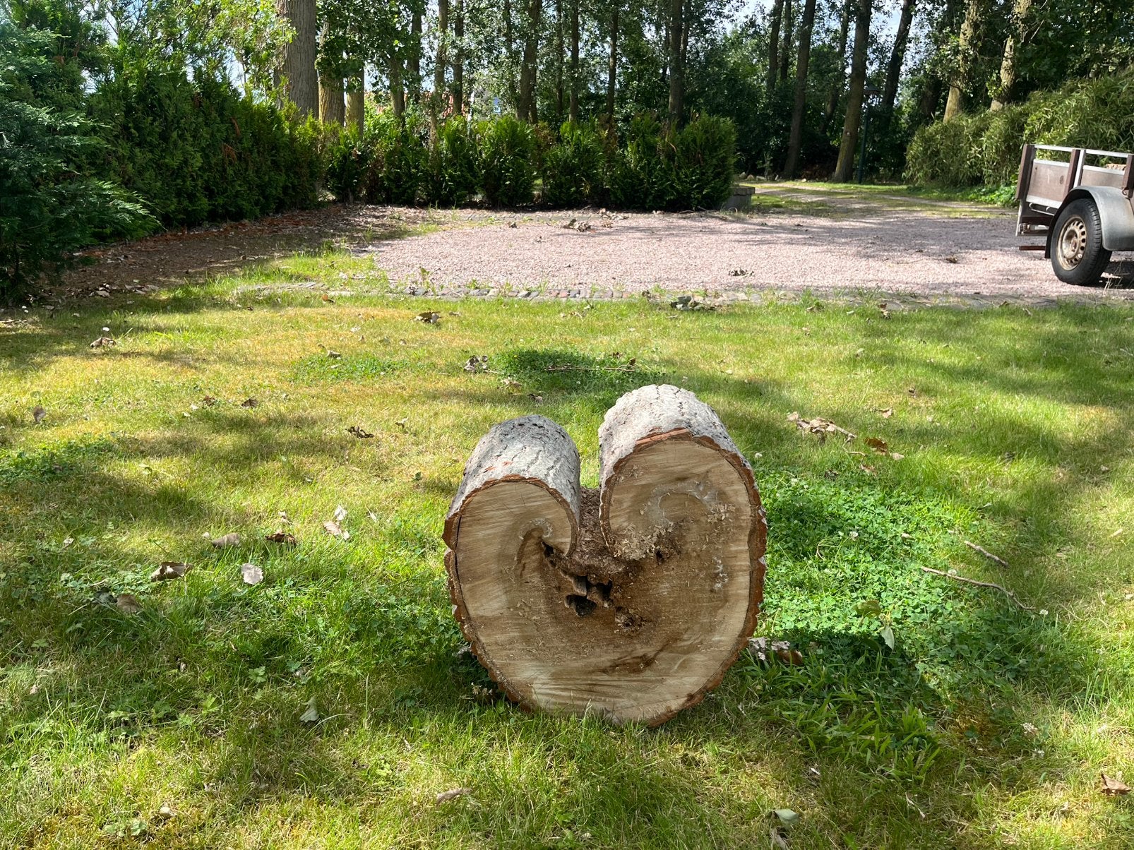 Boomstam hartvorm, Huis en Inrichting, Woonaccessoires | Overige, Gebruikt, Hout, Meerkleurig, Landelijk, Ophalen