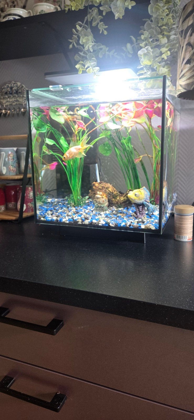 SuperFish aquarium QubiQ 30 Pro zwart 30 L, Dieren en Toebehoren, Ophalen, Zo goed als nieuw, Leeg aquarium, Superfish