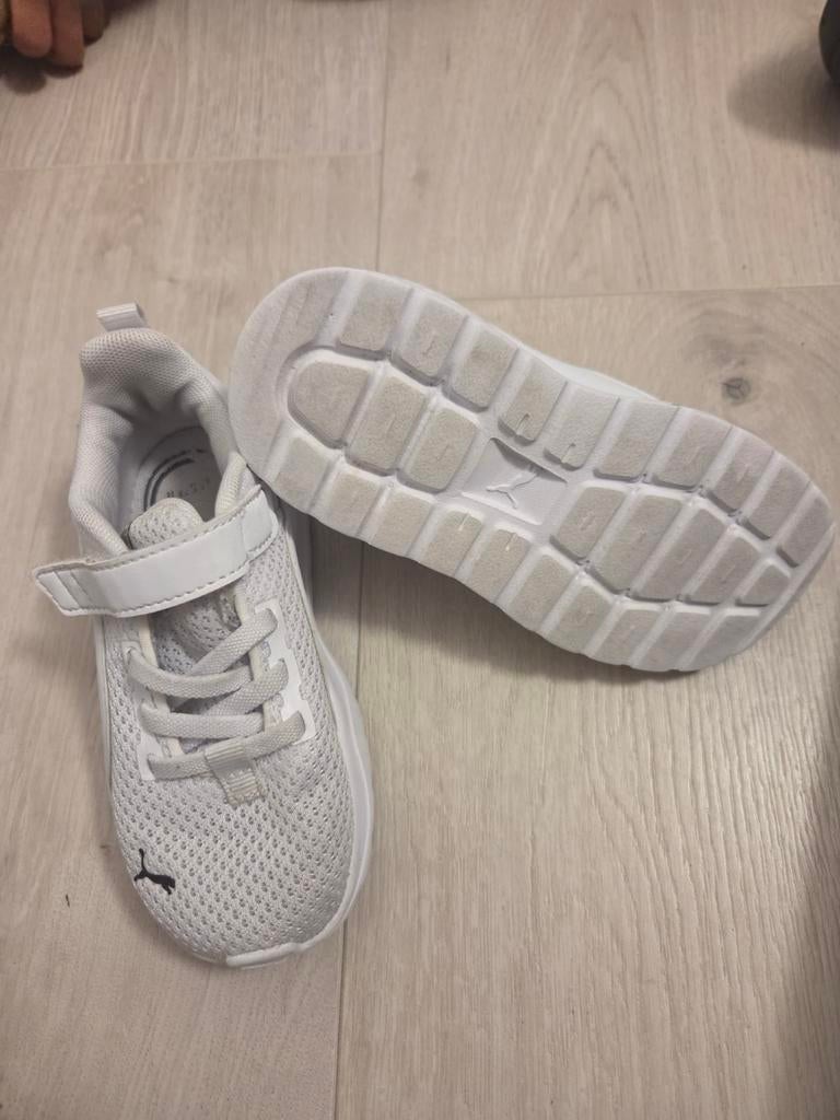 Puma 24, Ophalen