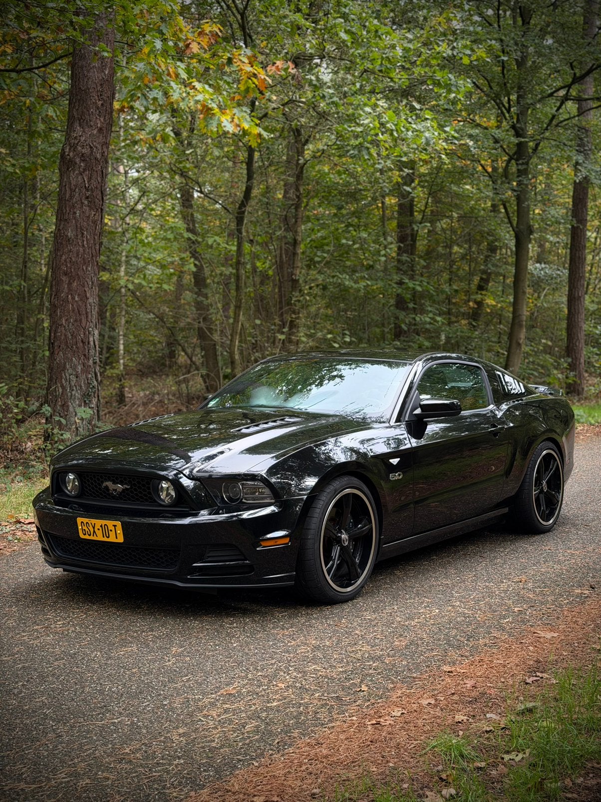 Ford Mustang GT 5.0 Fastback 2014, Bluetooth, Dealer onderhouden, Achterwielaandrijving, 4 stoelen