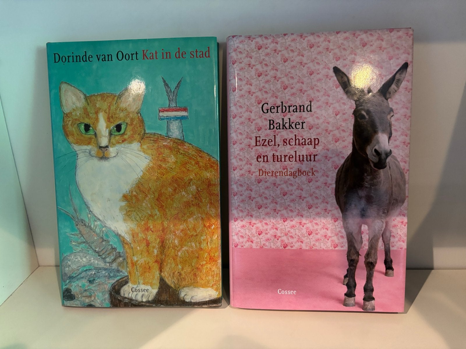 2 kinderboeken: Kat in de stad & Ezel, schaap en tureluur, Ophalen of Verzenden, Gelezen, Nederland