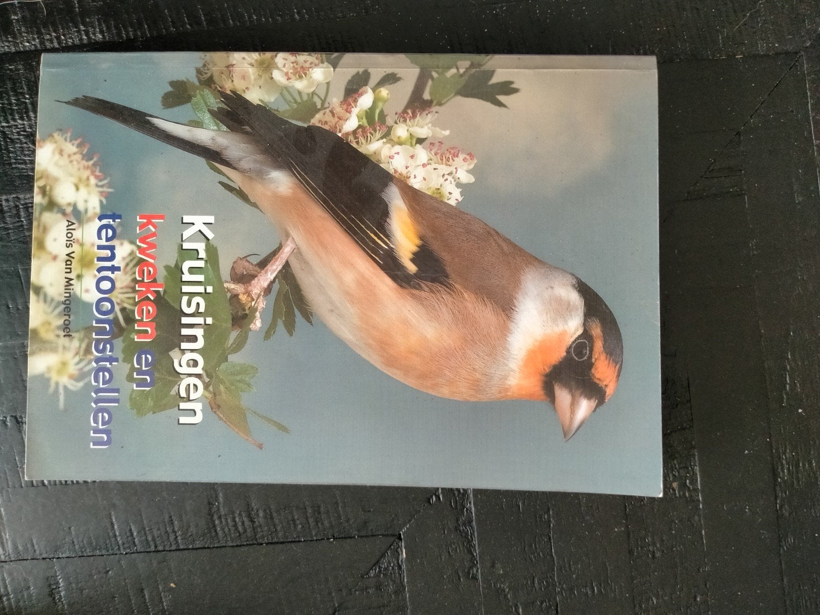 Kruisingen kweken en tentoonstellen - Alois Van Mingeroet, Boeken, Ophalen of Verzenden, Zo goed als nieuw, Vogels, Alois Van Mingeroet