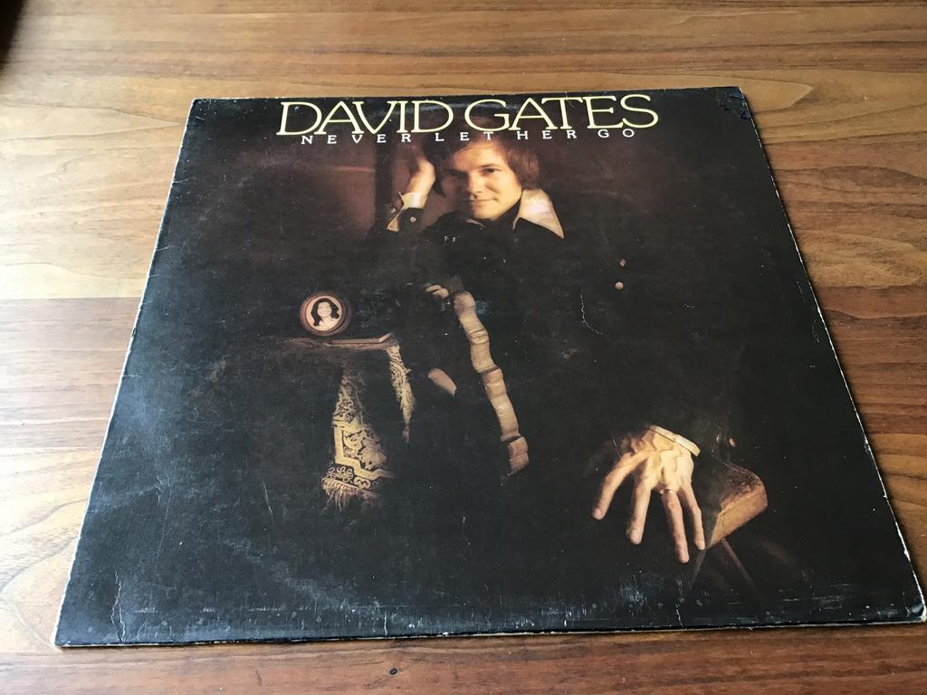 LP, 1975, DAVID GATES, NEVER LET HER GO, ELEKTRA, ELK-52009, Ophalen of Verzenden, Gebruikt, 12 inch, Poprock