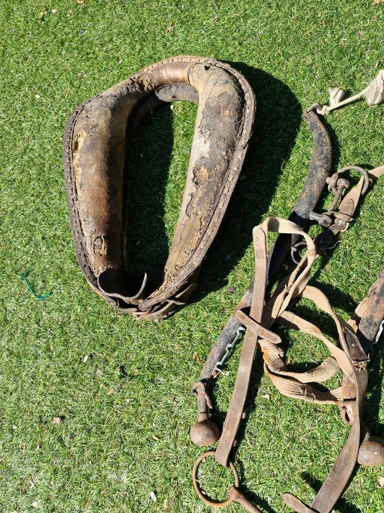 100 jaar oude haam met hoofd stel en bit, Ophalen of Verzenden