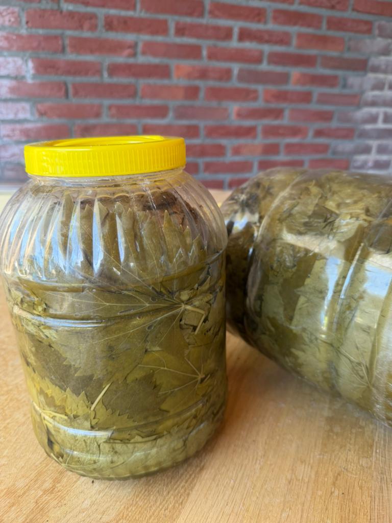 Druif bladeren.  €10 euro per kilo nog 4 kilo over, Ophalen of Verzenden, Zo goed als nieuw, Overige kleuren, Glas