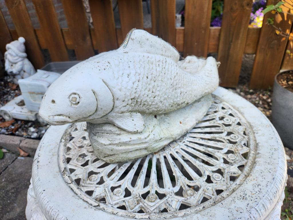 koi karper, Ophalen