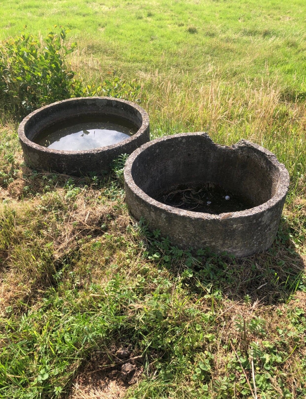 Betonnen bakken, Tuin en Terras, Ophalen, Zo goed als nieuw, Rond, 60 cm of meer