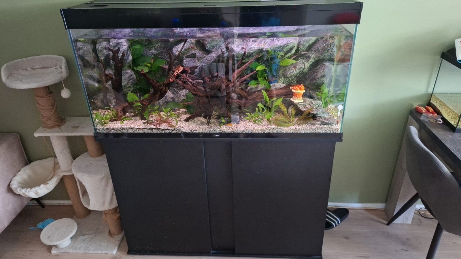 Aquarium met toebehoren, Ophalen, Inclusief vissen, Zo goed als nieuw, Gevuld zoetwateraquarium