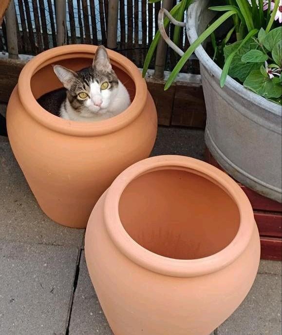 Grote Bloempotten Terracotta 36x27cm, Tuin en Terras, Ophalen, Steen, Minder dan 60 cm, Rond
