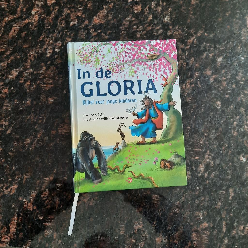 kinderbijbel, Ophalen of Verzenden, Zo goed als nieuw, Christendom | Protestants