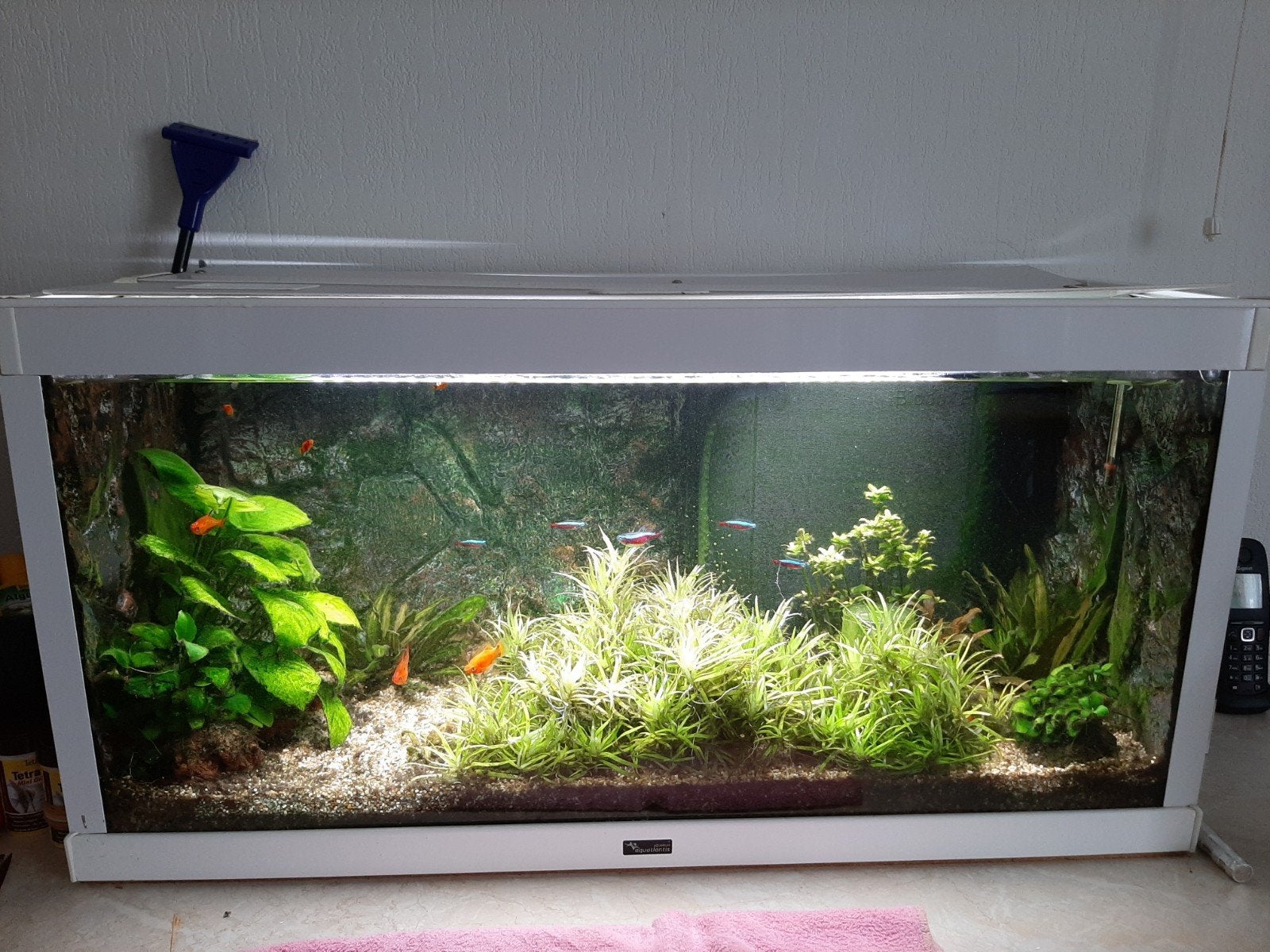 Aquarium compleet, Ophalen, Gebruikt, Aquatlantis, Gevuld zoetwateraquarium
