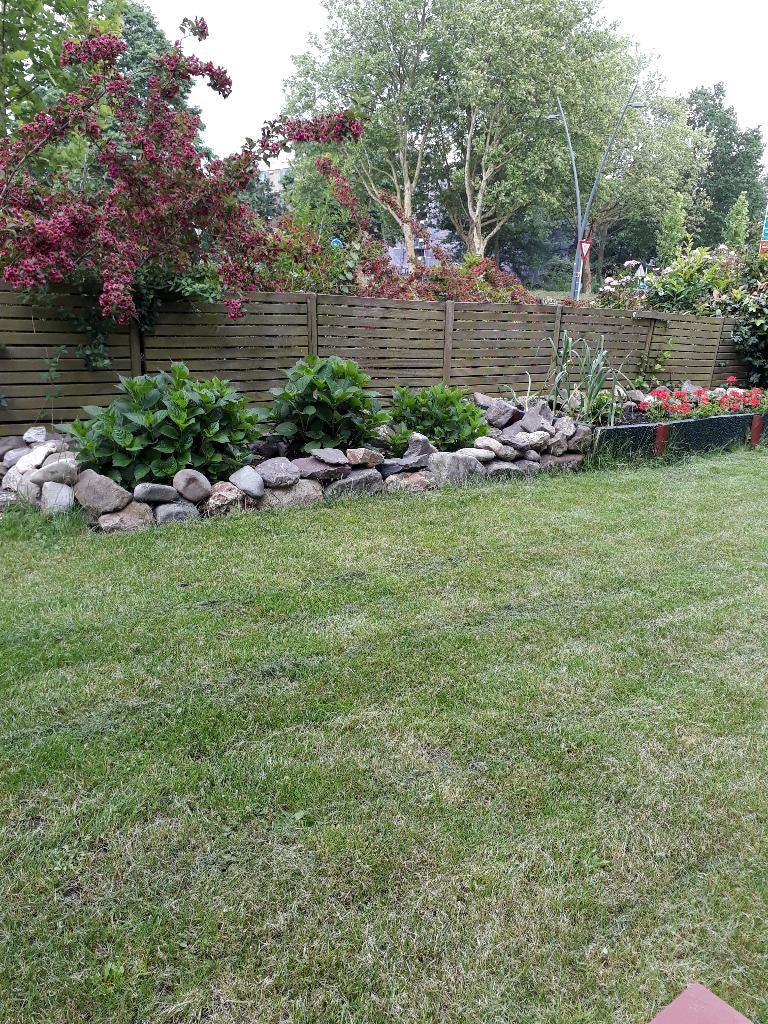 tuinman gezocht, Tuinonderhoud of Snoeiwerk