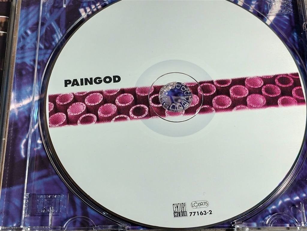 Paingod - Paingod, Ophalen of Verzenden, Zo goed als nieuw