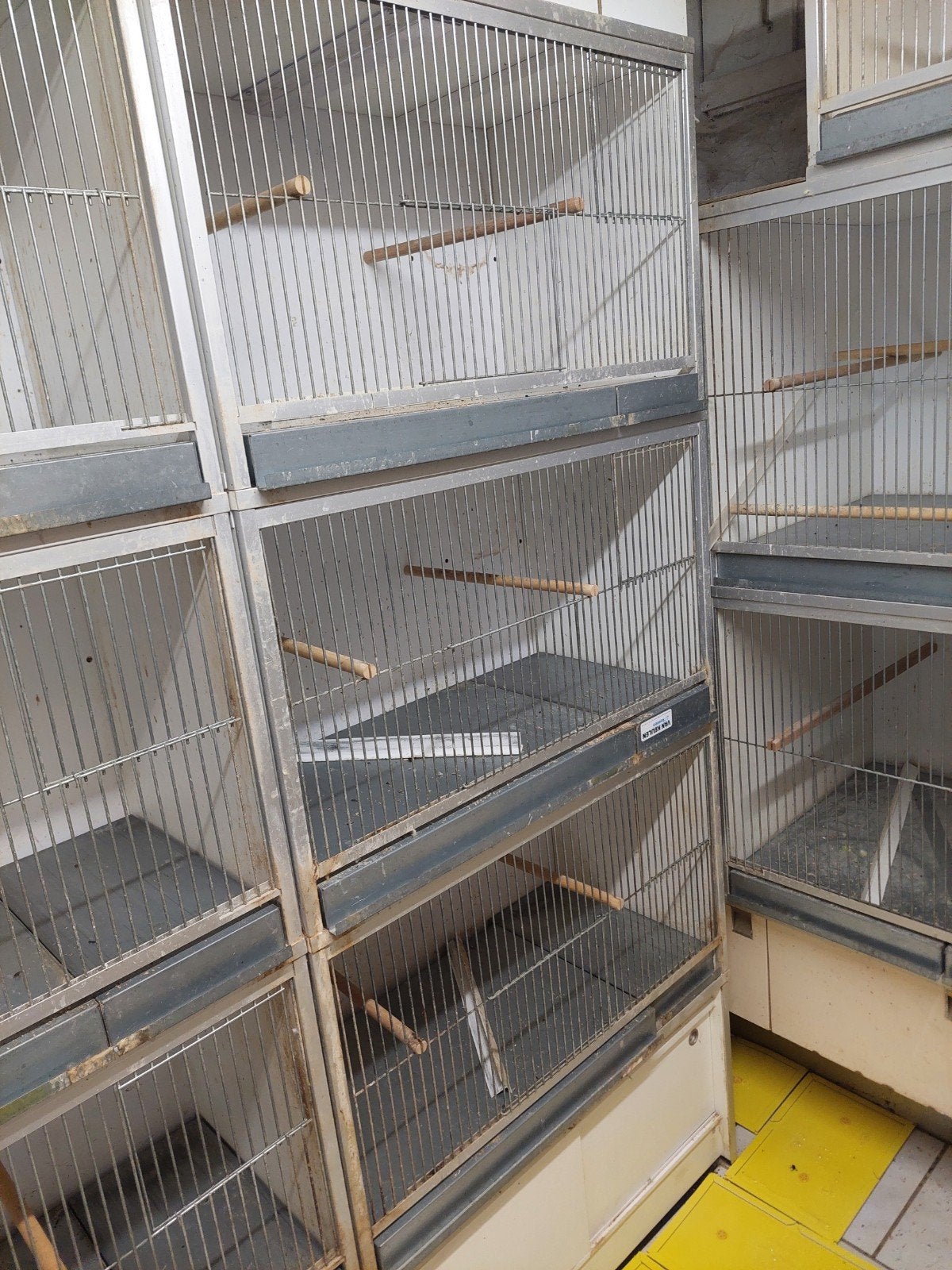 6 van keulen broedkooien, Dieren en Toebehoren, Ophalen of Verzenden, Hout, Broedkooi of Kweekkooi