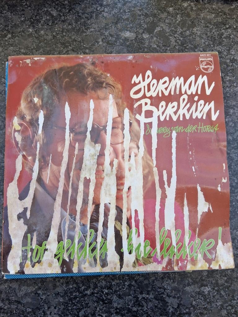 Herman Berkien & Corry van der Horst, Cd's en Dvd's, Ophalen of Verzenden, 1970 - 1979, Gebruikt, 12 inch