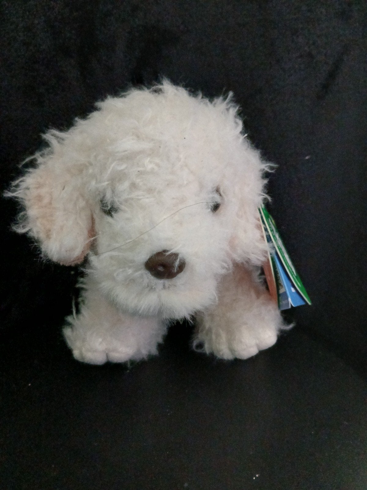 naturi uni toys knuffel hondje, Ophalen, Overige merken, Overige karakters, Nieuw