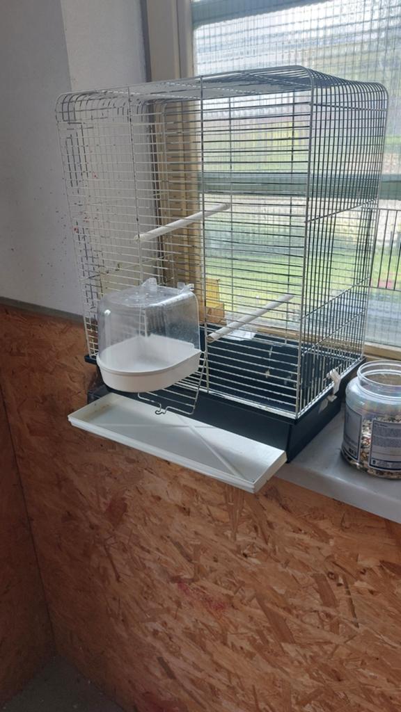 Te koop vogelkooi gebruikt, Ophalen, Gebruikt, Metaal, Vogelkooi