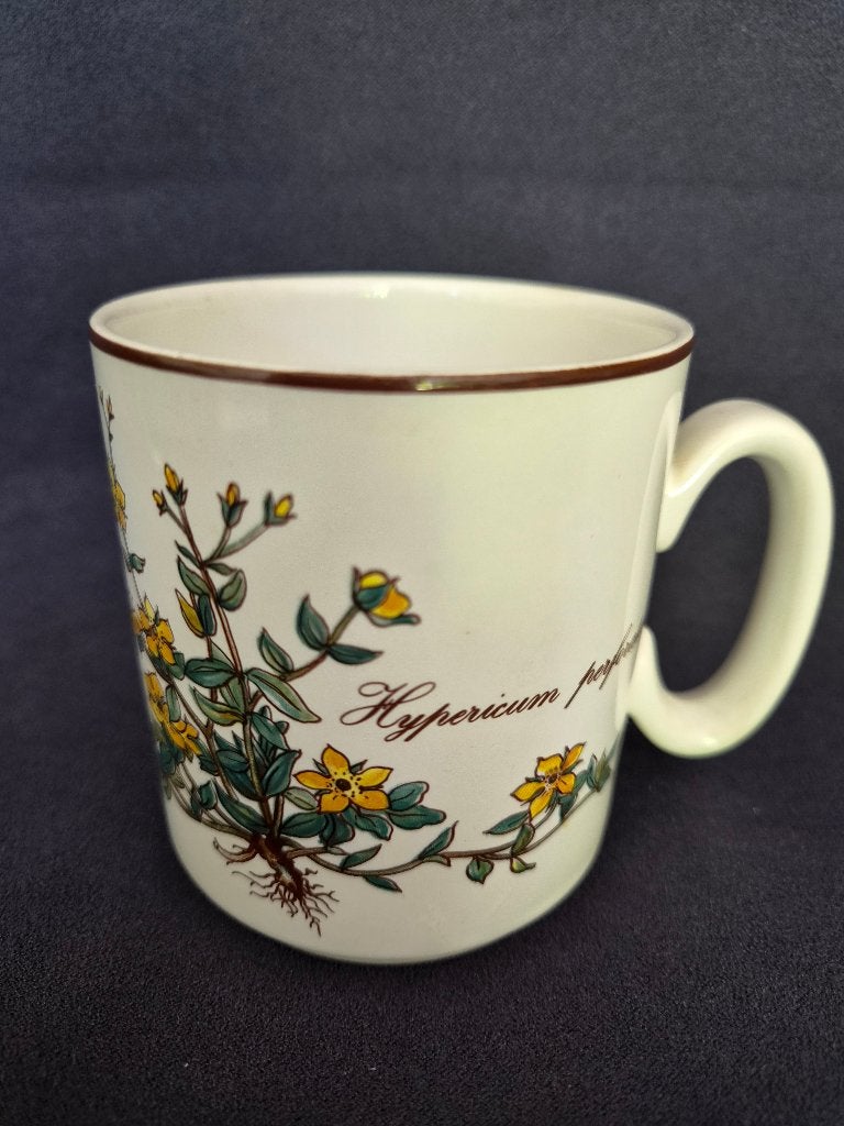 Mok van Villeroy & Boch - botanische afbeelding, Antiek en Kunst, Antiek | Servies los, Ophalen of Verzenden