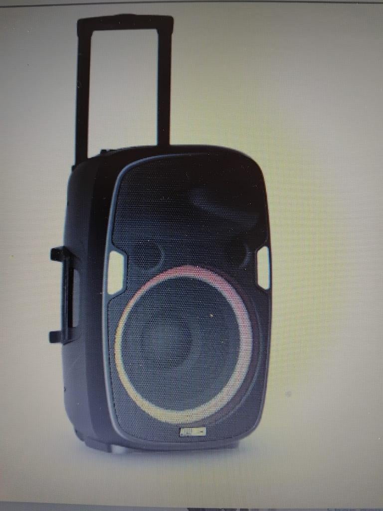 Luidspreker, Audio, Tv en Foto, Luidsprekers, Overige merken, Ophalen of Verzenden, Zo goed als nieuw, 120 watt of meer