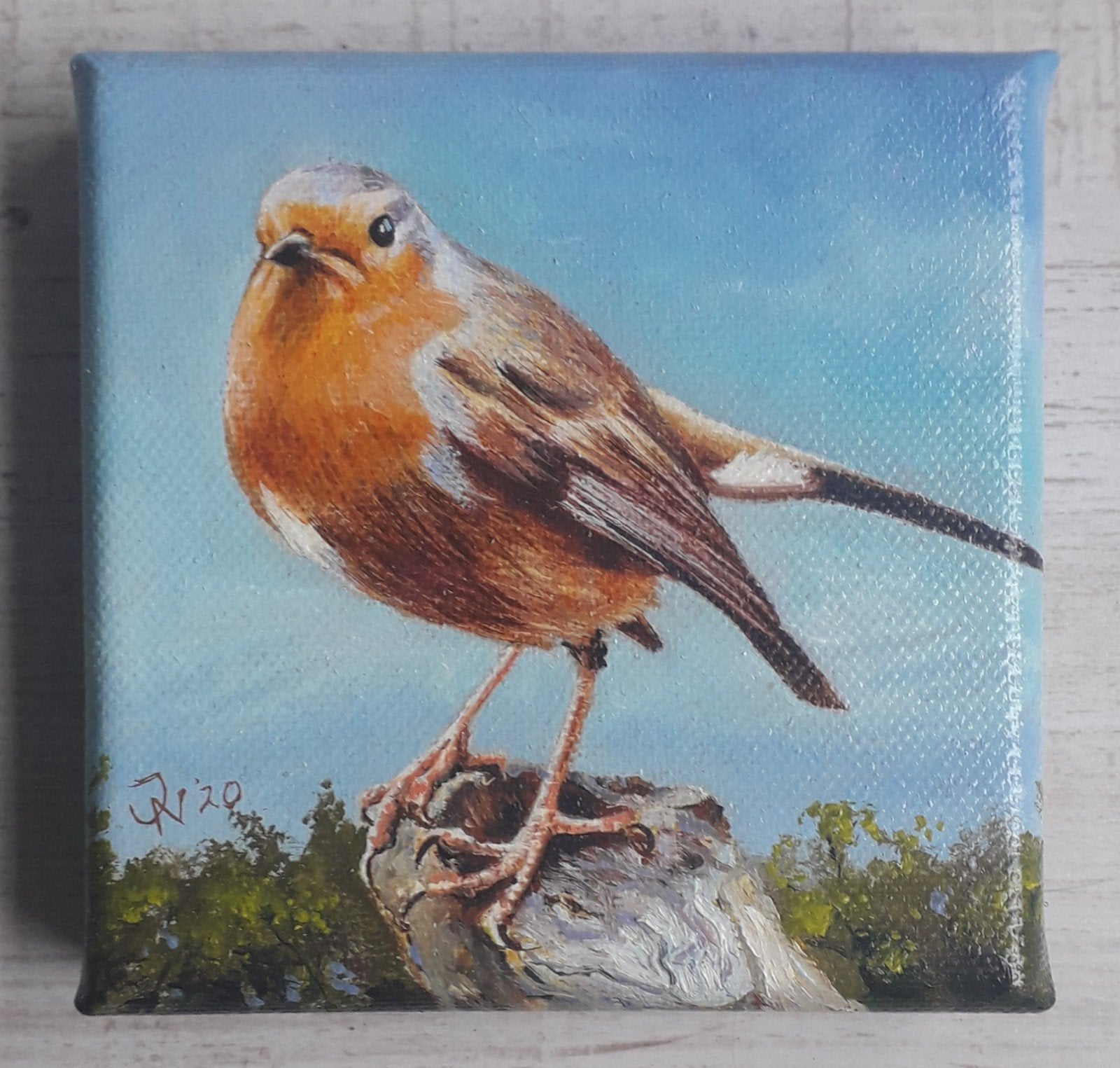 MOOI ROODBORSTJE>POPULAIRE VOGEL IN DE NATUUR>STIJL REALISME, Doek, Realistisch, Dieren, Ophalen of Verzenden