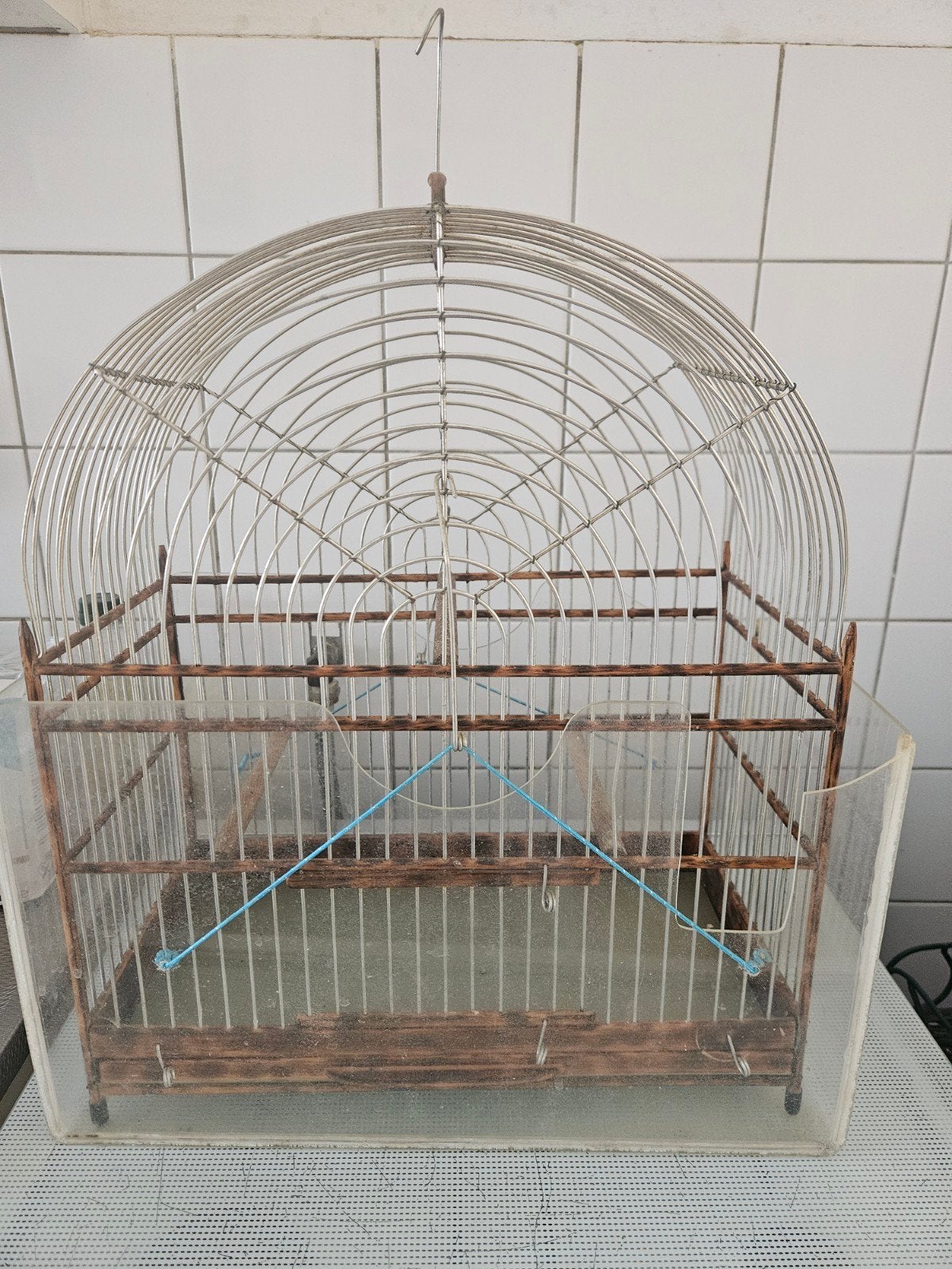 Surinaamse kooi, Dieren en Toebehoren, Vogels | Overige Vogels, Mannelijk