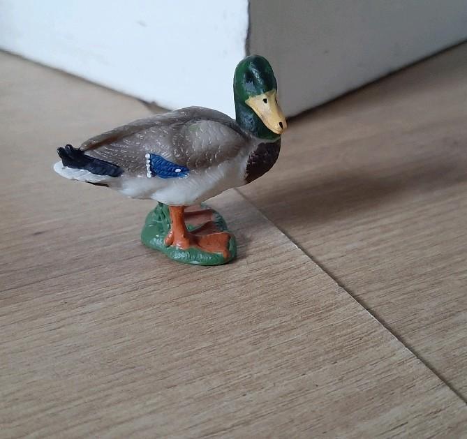 Schleich eend 13654, Verzamelen, Dierenverzamelingen, Ophalen of Verzenden, Nieuw, Vogel, Beeldje of Figuurtje