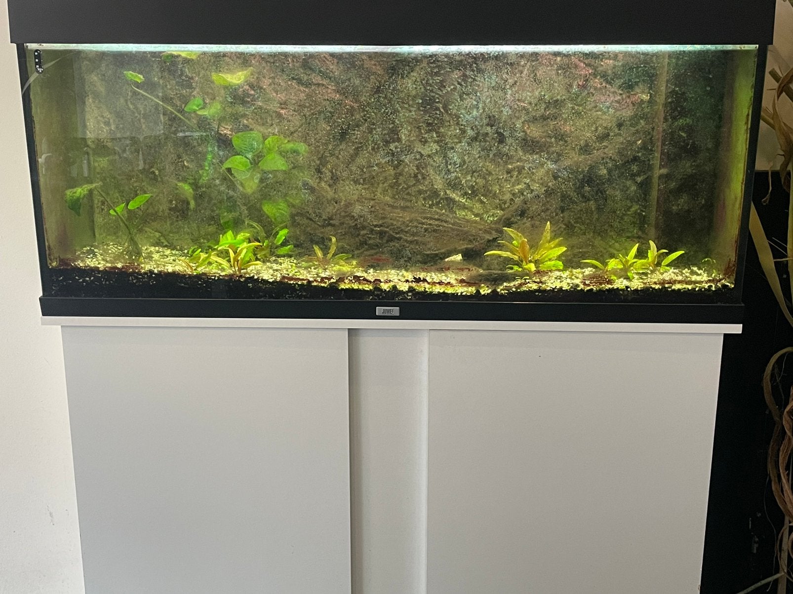 Juwel 240Liter Aqaurium/ terrarium met toebehoren, Dieren en Toebehoren, Ophalen, Gebruikt, Aquariummeubel, Juwel